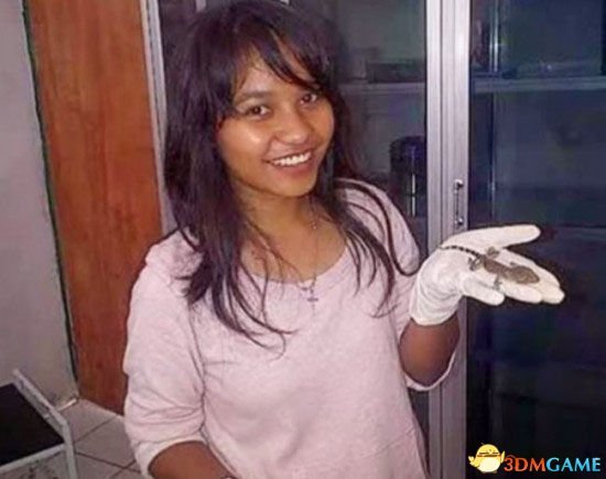 印尼女子产下一只壁虎“婴儿” 医生对此表示质疑