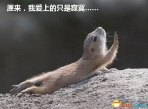 国外最新研究表明 色情片竟是这样影响你的大脑……
