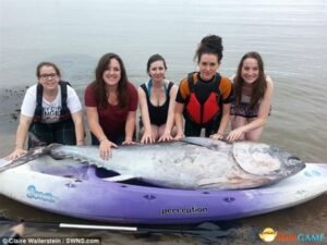 英国女生意外捡到蓝鳍金枪鱼 市场价值高达700万